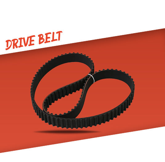 Serpentine Belt