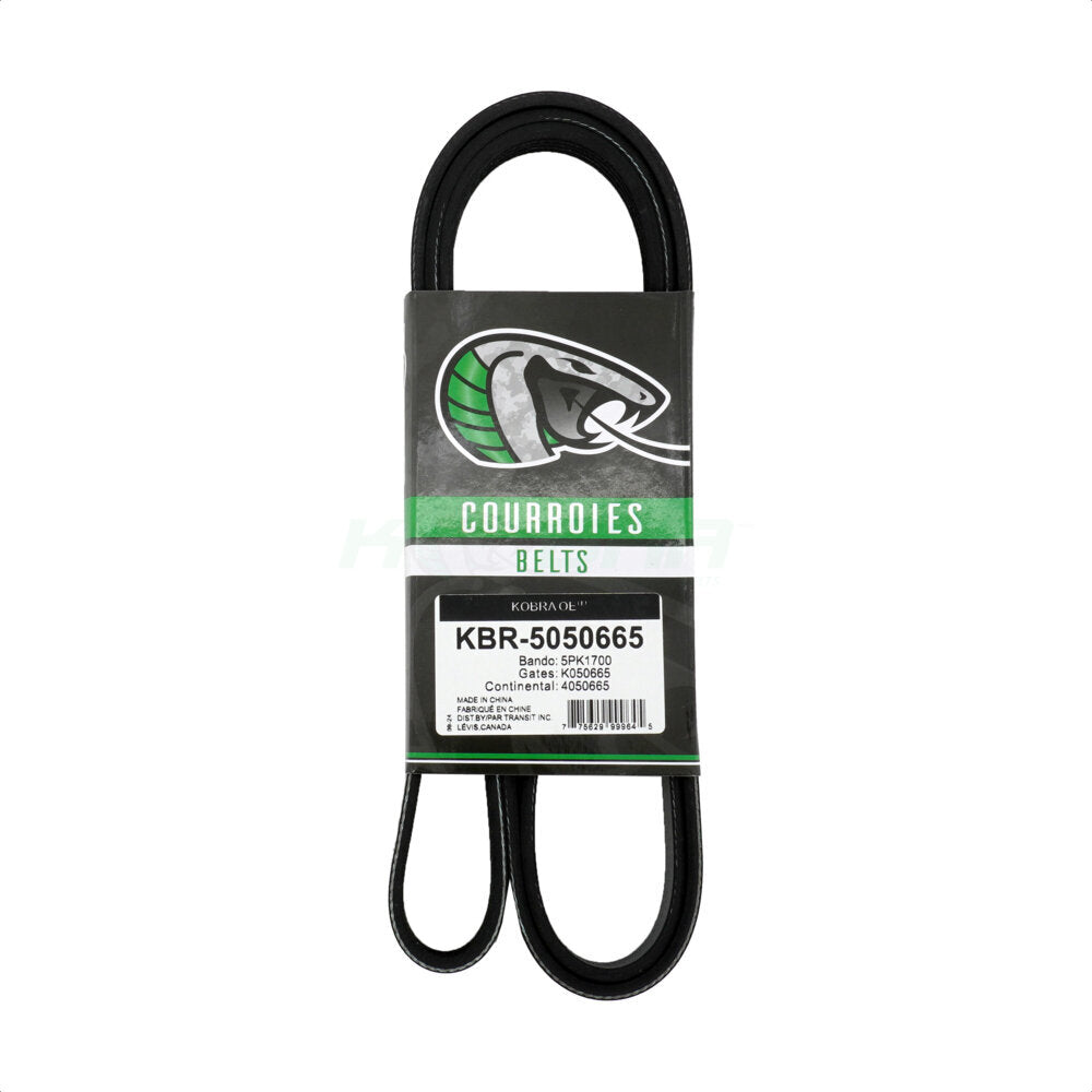 Kobra KBR-5050665 Serpentine Belt for 1992-2022 Buick Encore, Chevrolet Trax, Saturn SC2 - Main Drive